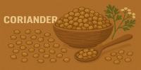 Coriander Seeds