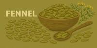 Fennel Seeds